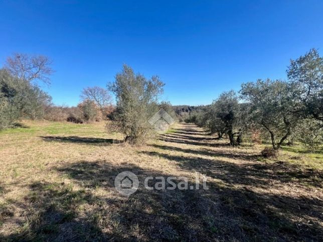 Terreno agricolo in commerciale in Località Commenda