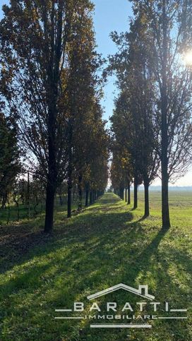 Terreno agricolo in commerciale in 