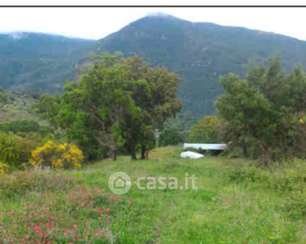 Terreno agricolo in commerciale in Via Galileo Galilei