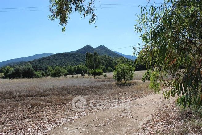 Terreno agricolo in commerciale in Via San Pietro