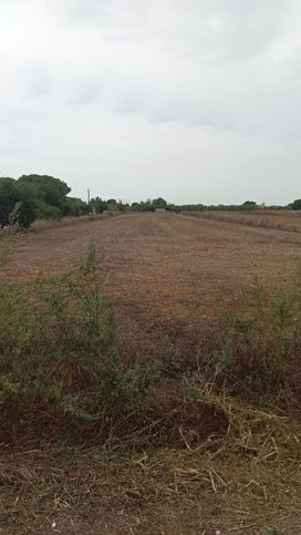 Terreno edificabile in residenziale in Via del Tiro a Segno