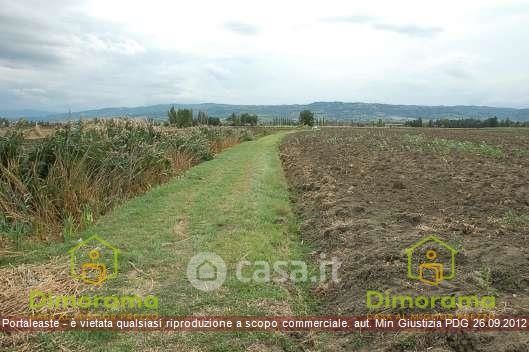 Terreno agricolo in commerciale in Piazza del Lavoro