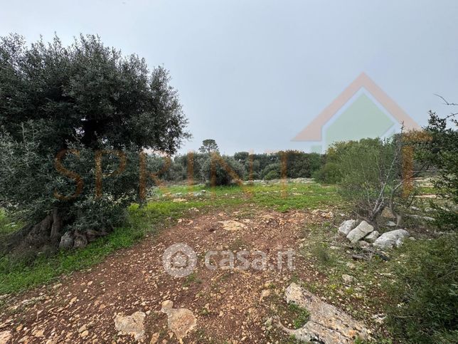 Terreno agricolo in commerciale in Contrada San Vincenzo