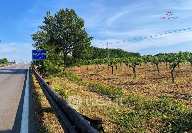 Terreno agricolo in commerciale in Strada Statale 172