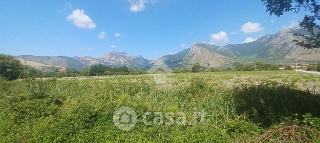 Terreno agricolo in commerciale in Strada di Bonifica Venticinque