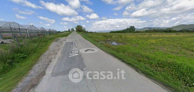Terreno agricolo in commerciale in Via Vinacciano