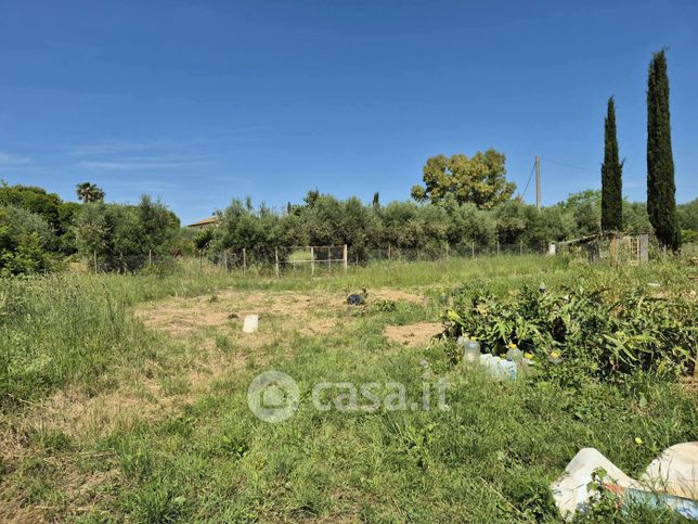 Terreno agricolo in commerciale in Via Scansanese 198
