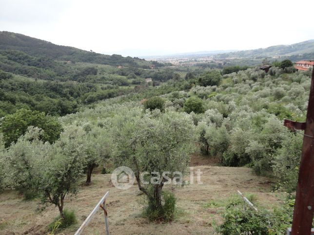 Terreno agricolo in commerciale in Via Carboniga 48