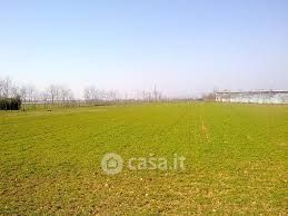 Terreno agricolo in commerciale in Via Torchio 73 /1