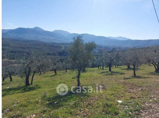 Terreno agricolo in commerciale in Via Salaria Vecchia 10