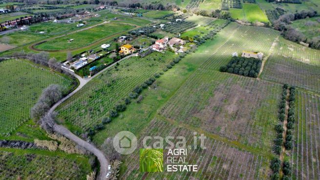 Terreno agricolo in commerciale in Via di Santa Maria in Formarola 28
