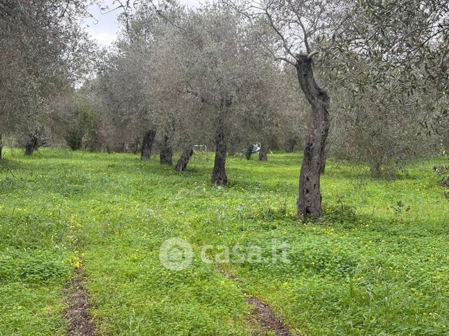 Terreno agricolo in commerciale in Via Valverde