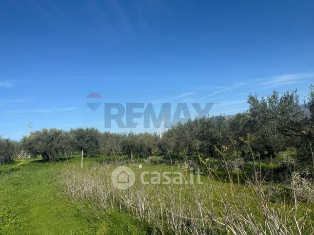 Terreno agricolo in commerciale in Via Chimenti