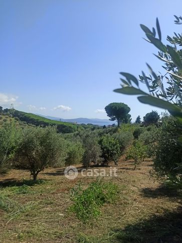 Terreno agricolo in commerciale in 