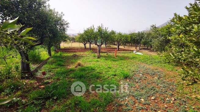 Terreno agricolo in commerciale in Via Alfonso Amorelli