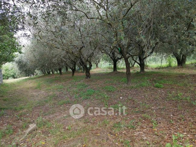 Terreno agricolo in commerciale in 