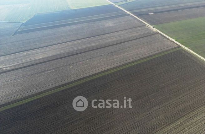 Terreno agricolo in commerciale in Strada Provinciale 24