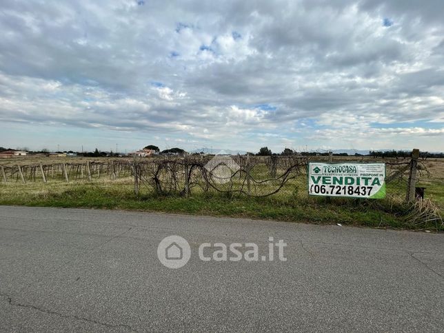 Terreno agricolo in commerciale in Via del Fontanile Tuscolano