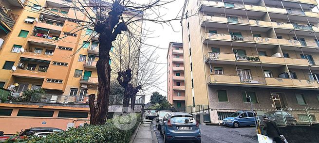 Appartamento in residenziale in Via Sigismondo Muscola 73