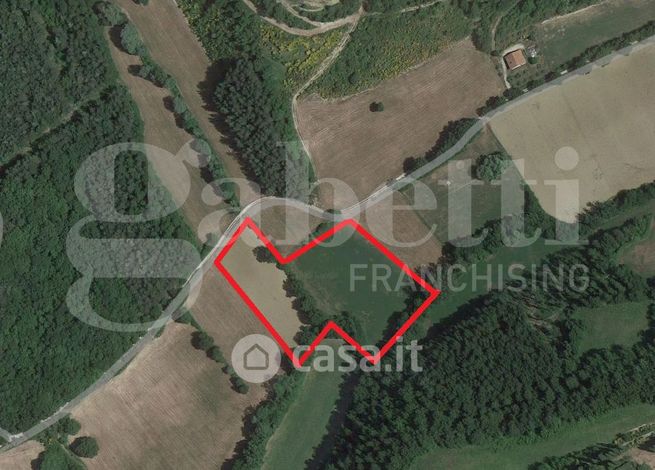 Terreno agricolo in commerciale in LocalitÃ  Spaccio Monteluiano