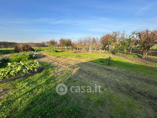 Terreno agricolo in commerciale in 