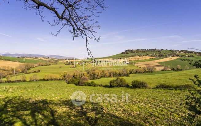 Terreno agricolo in commerciale in Contrada Collevario
