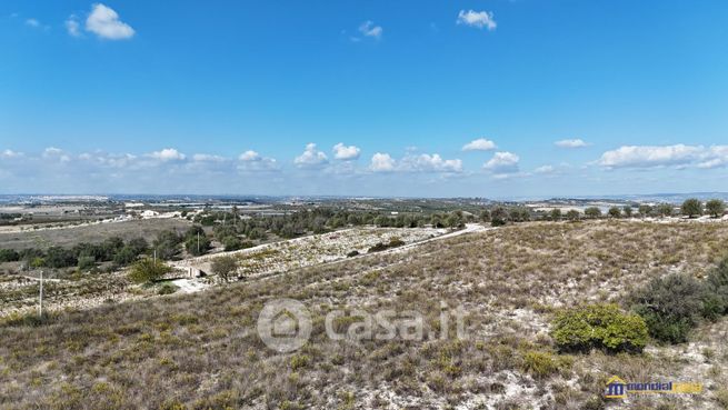 Terreno agricolo in commerciale in Strada Senza Nome