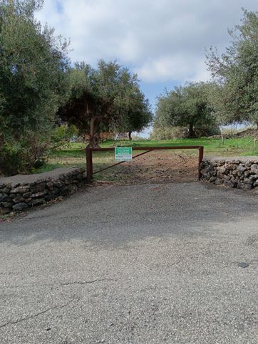 Terreno agricolo in commerciale in Strada Comunale Ficominutilla