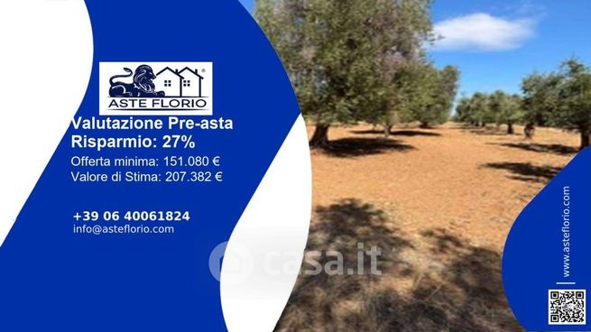 Terreno agricolo in commerciale in Contrada Regina