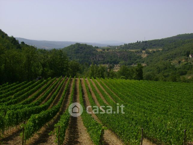 Terreno agricolo in commerciale in Località Montericcioli