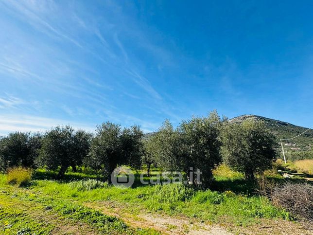 Terreno agricolo in commerciale in Via Selvotta 40