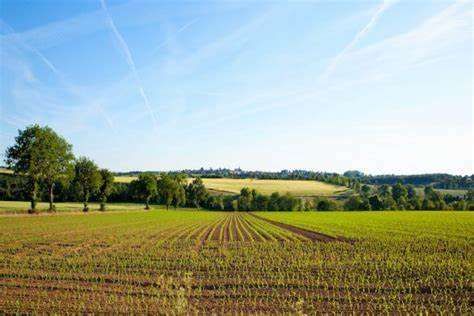 Terreno agricolo in commerciale in