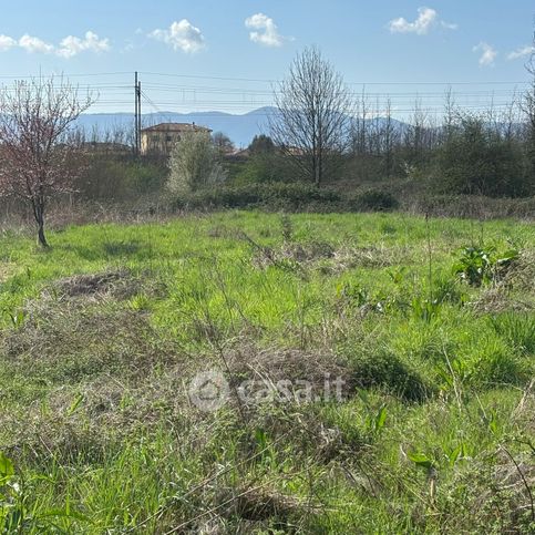 Terreno agricolo in commerciale in Via di Confine