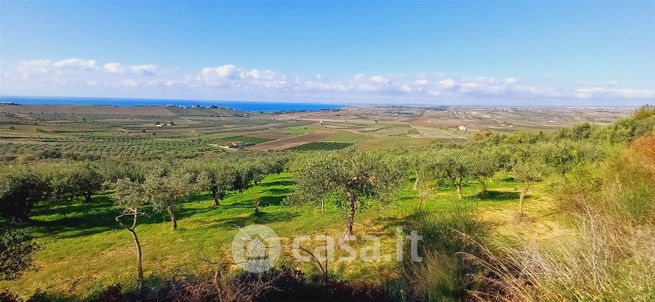 Terreno agricolo in commerciale in SP79