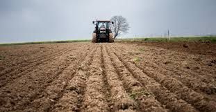 Terreno agricolo in commerciale in Via Luppia Alberi