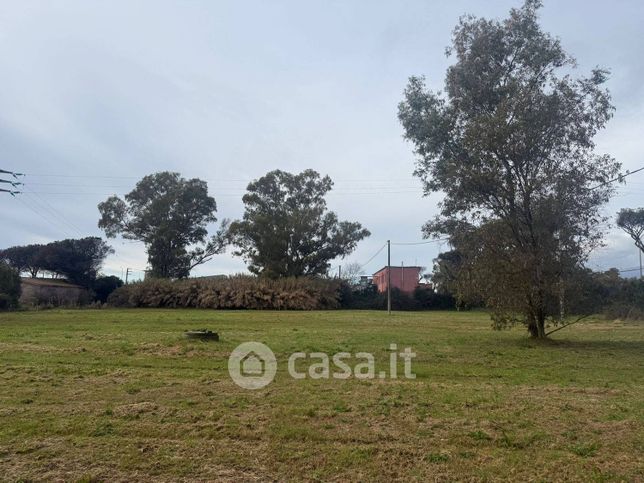 Terreno agricolo in commerciale in Strada Litoranea