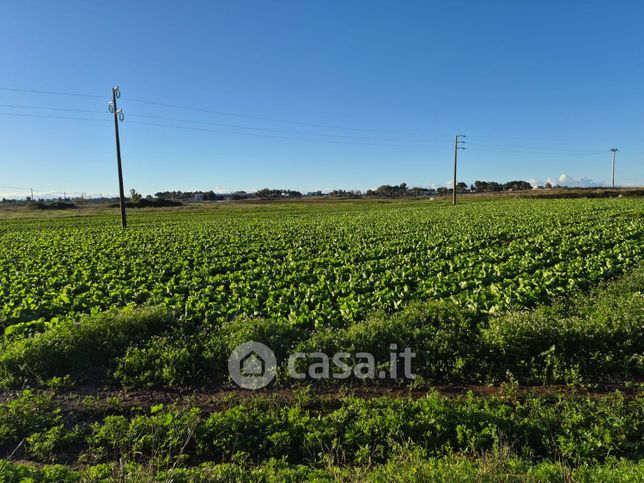Terreno agricolo in commerciale in Via Adriatica