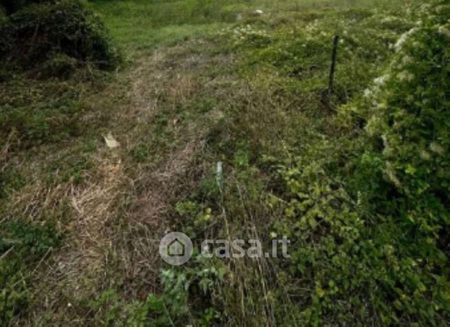 Terreno edificabile in residenziale in Strada Vicinale San Cassiano