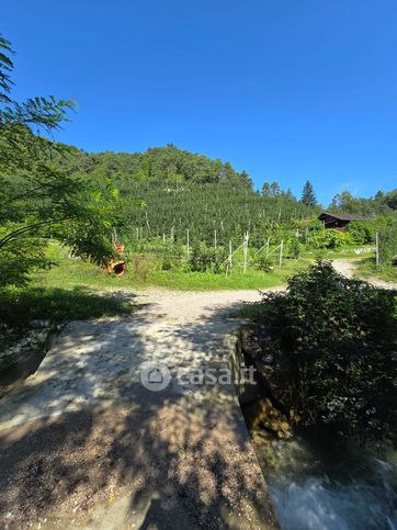 Terreno agricolo in commerciale in Via provincale 5