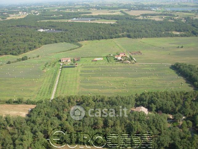 Terreno agricolo in commerciale in castiglione del lago