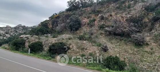 Terreno agricolo in commerciale in Località Baia Sardinia