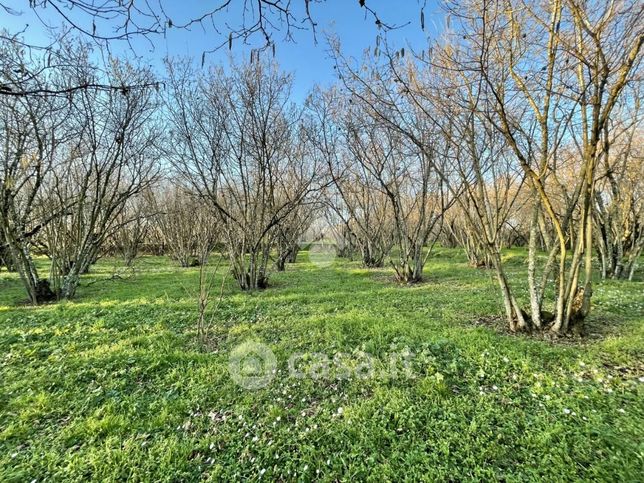 Terreno agricolo in commerciale in Strada Pisciarella