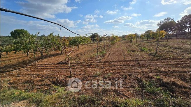 Terreno agricolo in commerciale in 