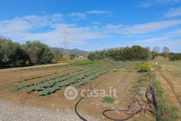 Terreno agricolo in commerciale in Regione Massaretti