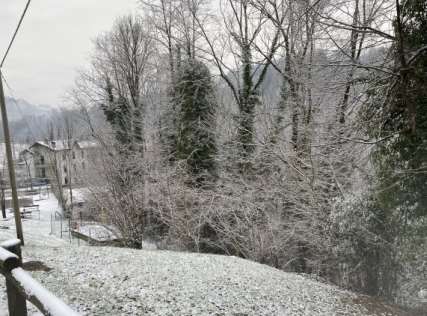 Terreno agricolo in commerciale in Strada Provinciale 25