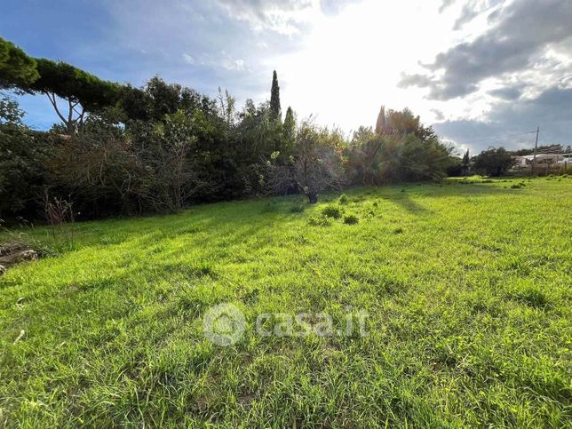 Terreno agricolo in commerciale in 