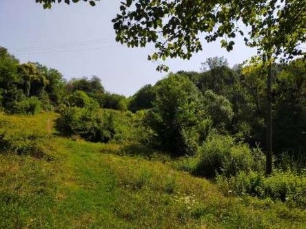 Terreno agricolo in commerciale in Via P. Ferraro 14