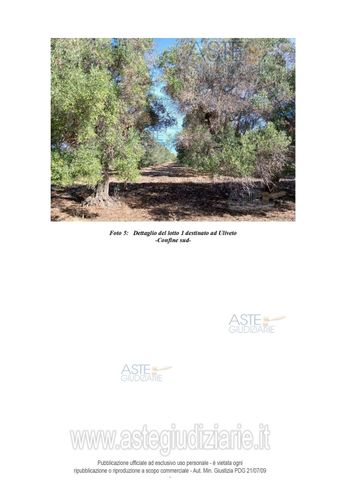 Terreno agricolo in commerciale in 