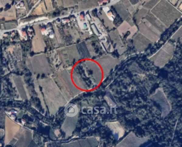 Terreno agricolo in commerciale in Strada Statale 263