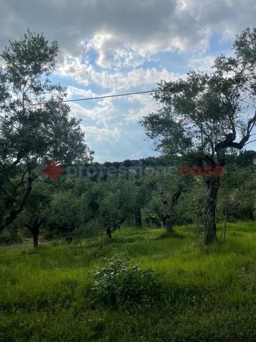 Terreno agricolo in commerciale in Via Paterno I Traversa 14